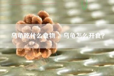 乌龟吃什么食物 ，乌龟怎么开食？