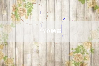 乌龟肠胃