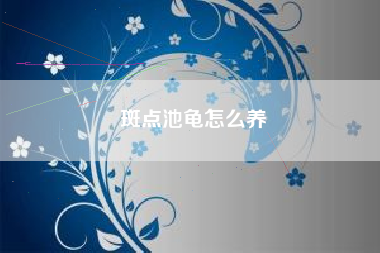 斑点池龟怎么养